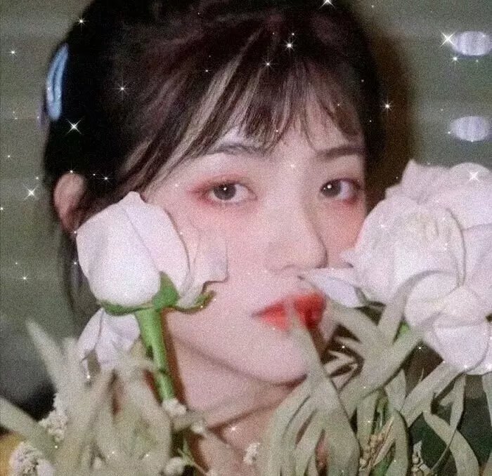 许愿树